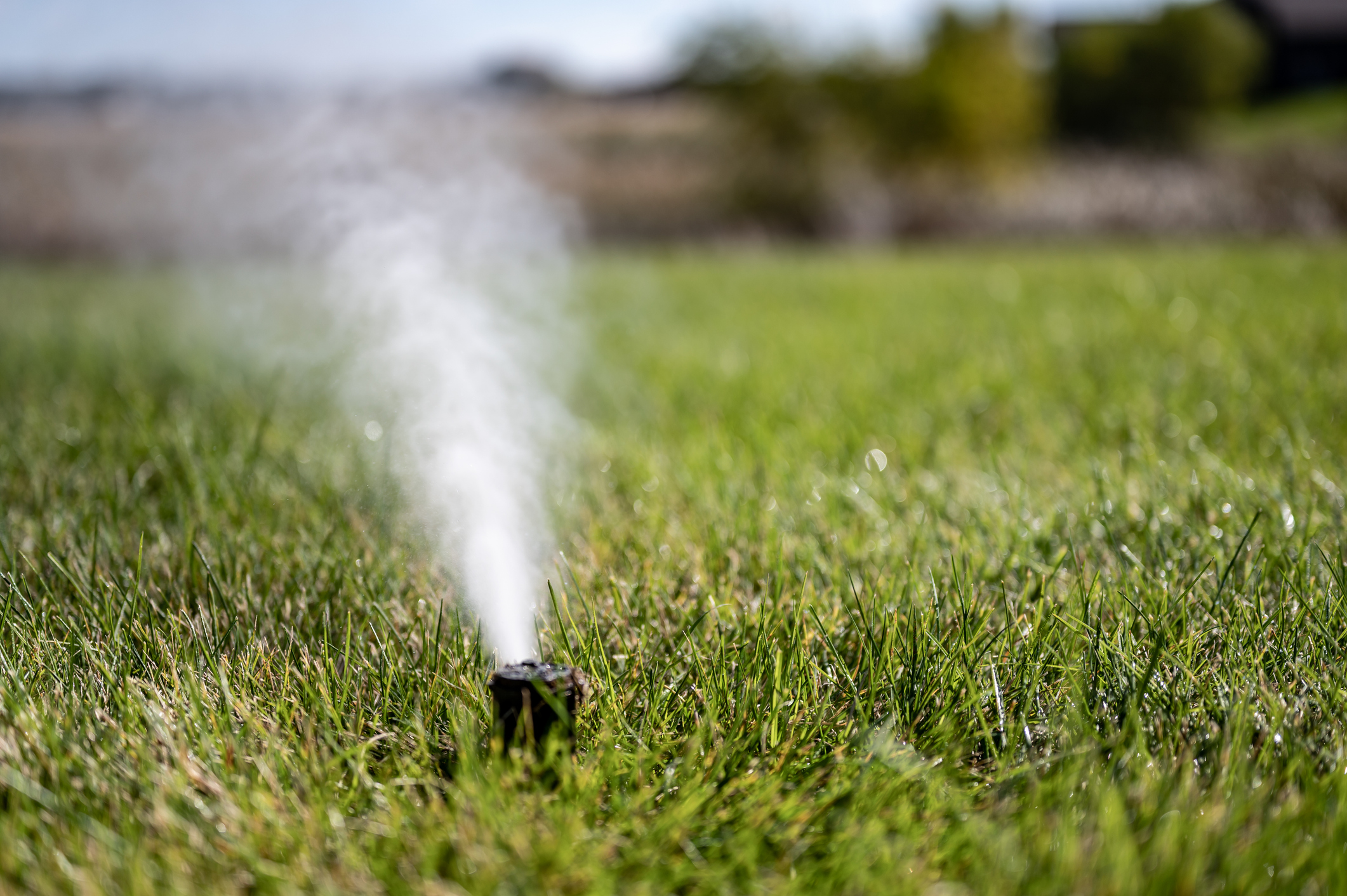 winterizing a irrigation sprinkler system by blowing pressurized air through to clear out water