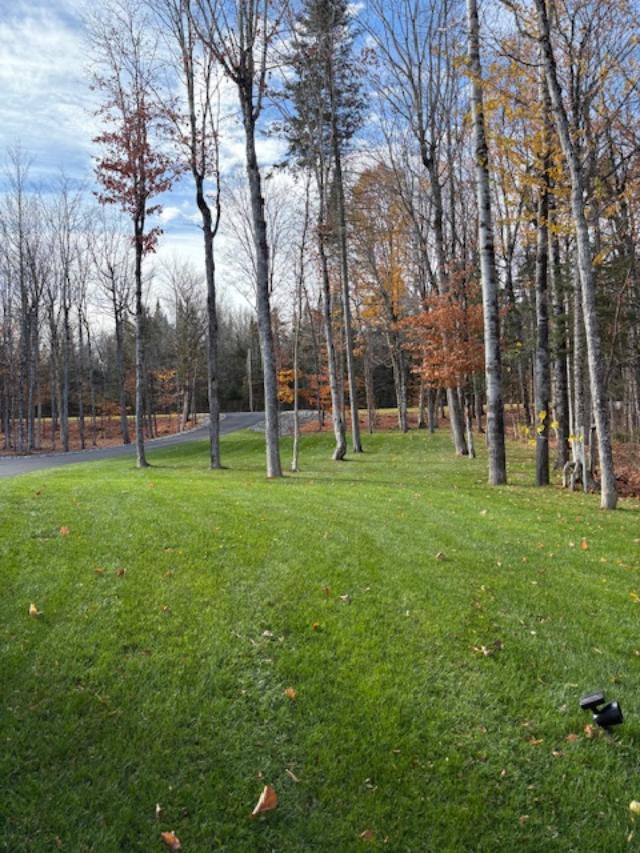 what to expect from a lawn care program