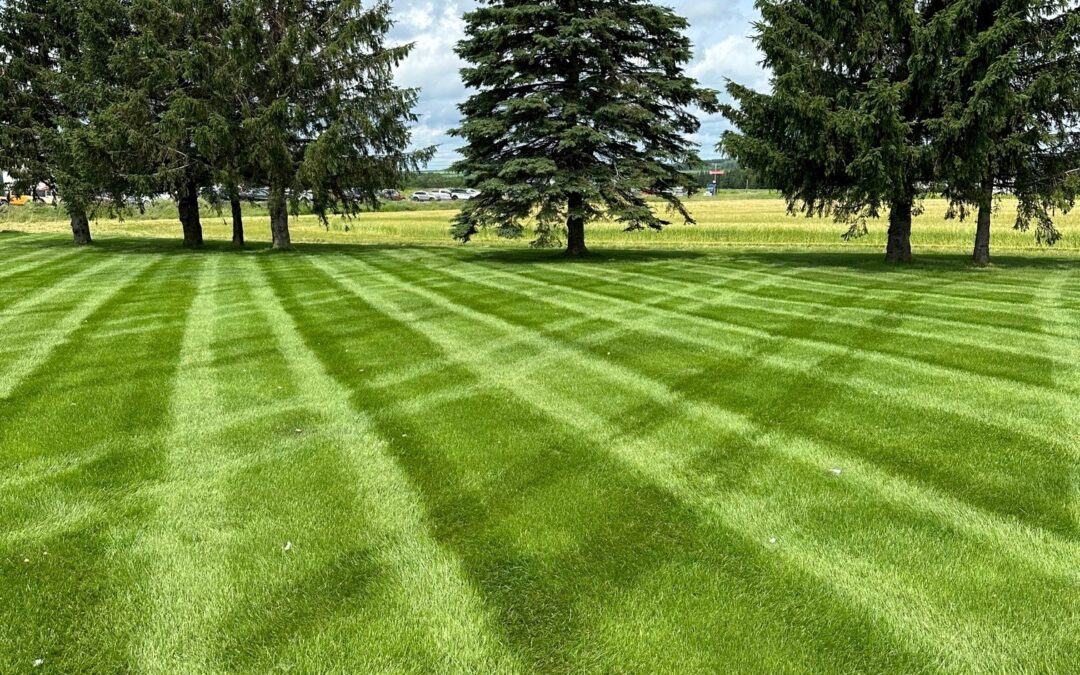 What Can Your Lawn’s pH Level Tell You? The Importance of Testing and Corrective Lime