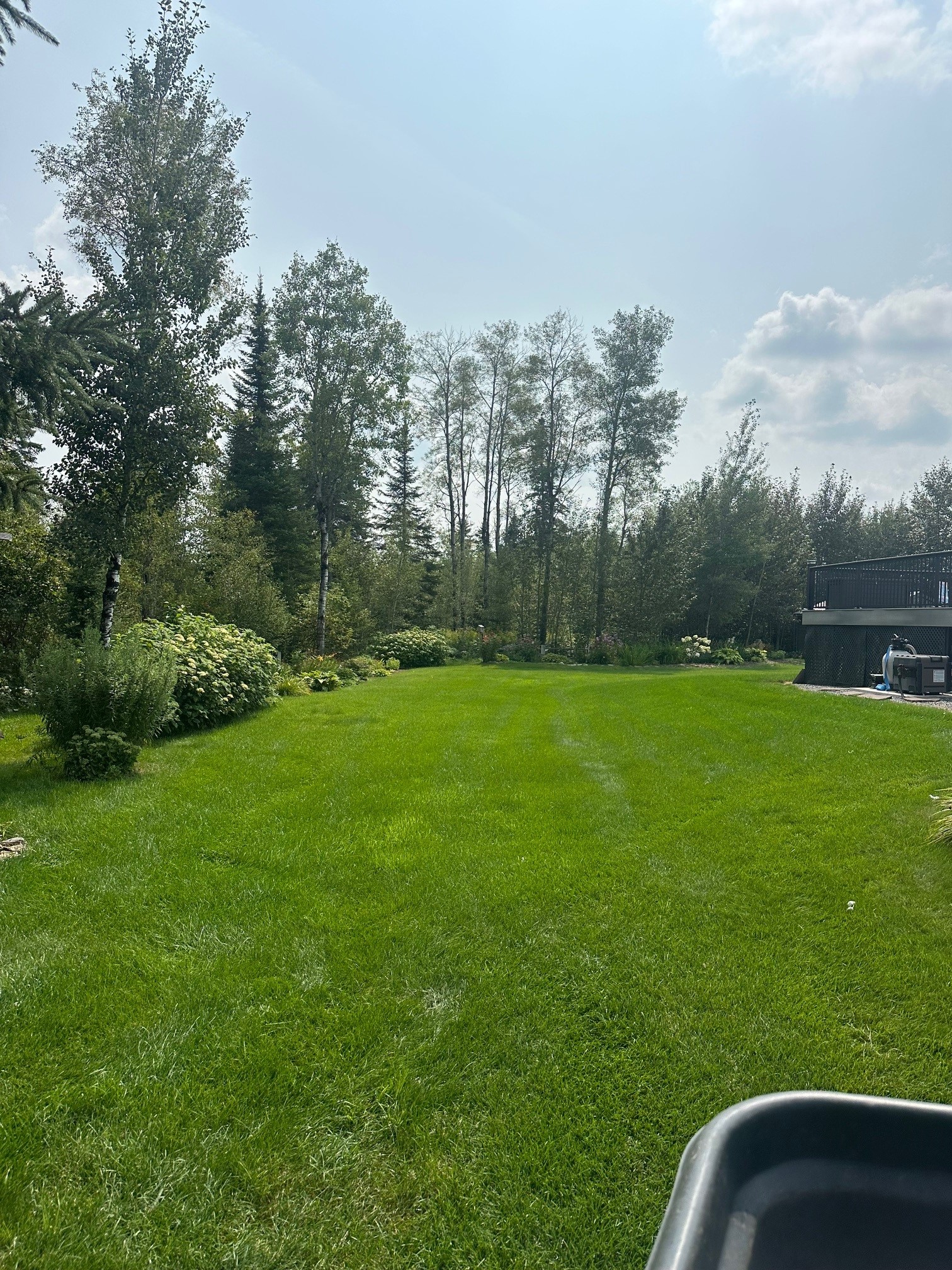 lawn fertilization service