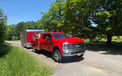 How to Choose a Professional Lawn Care Company (And Why Northern Turf Stands Out)