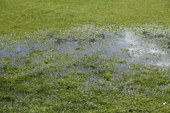 water pooling on lawn due to compaction
