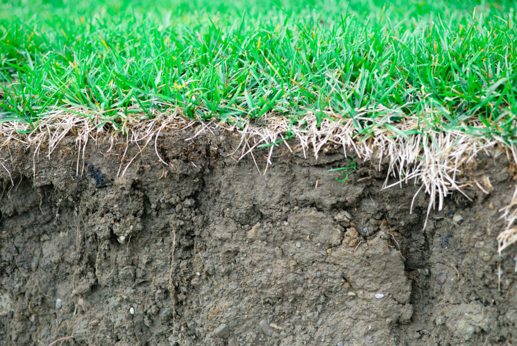 soil composition